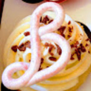 Meet your Posher, Bethany